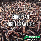 Earth Worms for sale in NJ - Jersey Worms